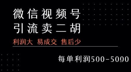 视频号卖二胡教程，利润大 易成交 售后少，一单利润5张+-校睿铺