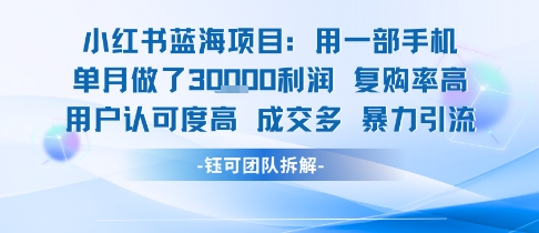 小红书蓝海项目，一部手机单月做了3W利润，小白也能月入过1W用户认可度高成交多-校睿铺
