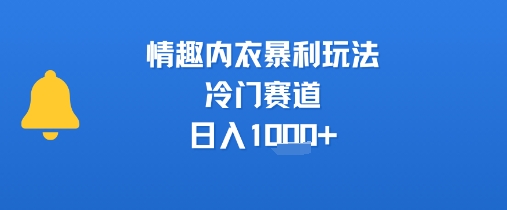 情趣内衣暴利玩法，冷门赛道，日入1k+-校睿铺