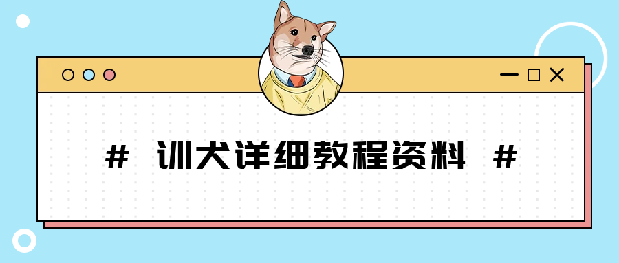 训犬教程，躺下、翻滚、握手等等-校睿铺