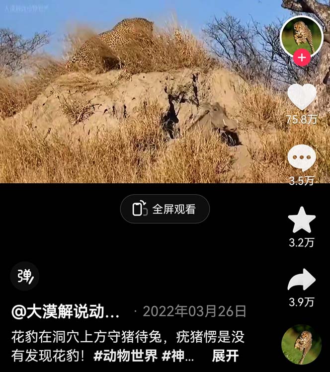 图片[1]-学习国外纪录片解说稳过中视频，轻松掌握动物解说、美食、动画片，外面卖1699-校睿铺