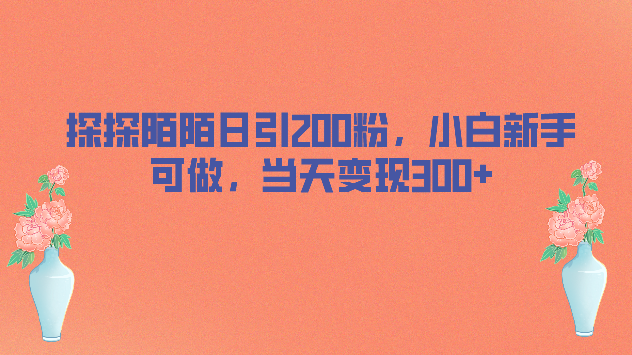 探探陌陌日引200粉，小白新手可做，当天就能变现300+-校睿铺