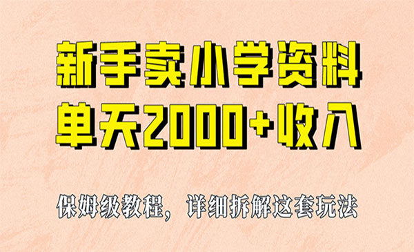 《小学虚拟资源项目》保姆级教程，实现单天2000+，实操项目，+资料+工具-校睿铺