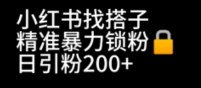 小红书找搭子暴力精准锁粉+引流日引200+精准粉-校睿铺