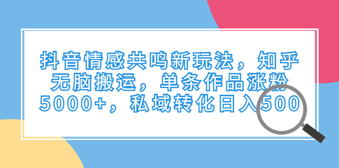 抖音情感共鸣新玩法，知乎无脑搬运，单条作品涨粉5000+，私域转化日入500-校睿铺