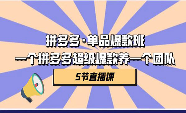 《拼多多单品爆款班》一个拼多多超级爆款养一个团队-校睿铺