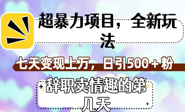 《超暴利情趣项目全新玩法》七天变现上万，日引500+粉-校睿铺