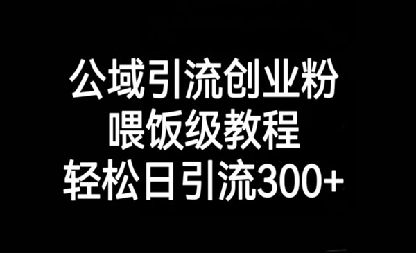 《公域引流创业粉教程》轻松日引流300+-校睿铺