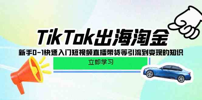 TikTok-出海淘金，新手0-1快速入门短视频直播带货等引流到变现的知识-校睿铺