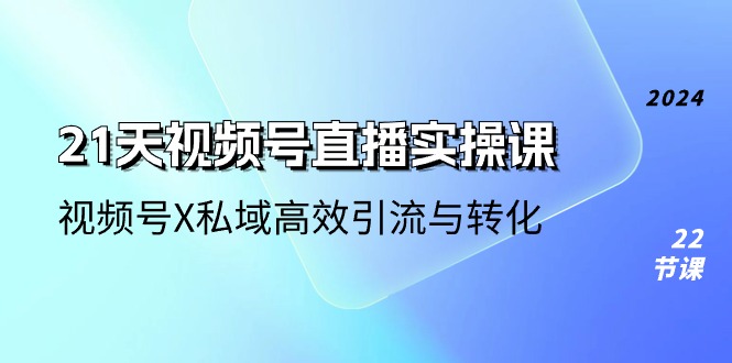 （10966期）21天-视频号直播实操课，视频号X私域高效引流与转化（22节课）-校睿铺