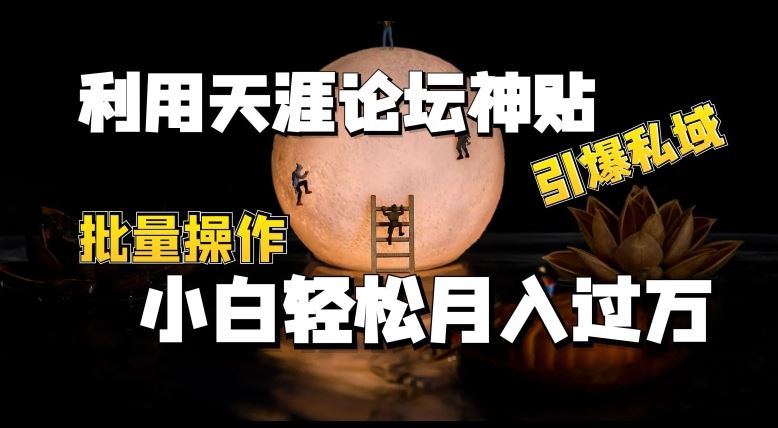 利用天涯论坛神贴，引爆私域，批量操作，小白轻松月入过w【揭秘】-校睿铺