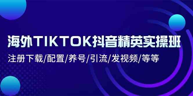 海外TIKTOK抖音精英实操班：注册下载/配置/养号/引流/发视频/等等-校睿铺