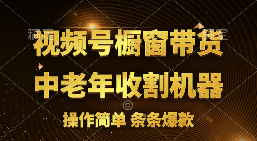 （11009期）[你的孩子成功取得高位]视频号最火爆赛道，橱窗带货，流量分成计划，条…-校睿铺