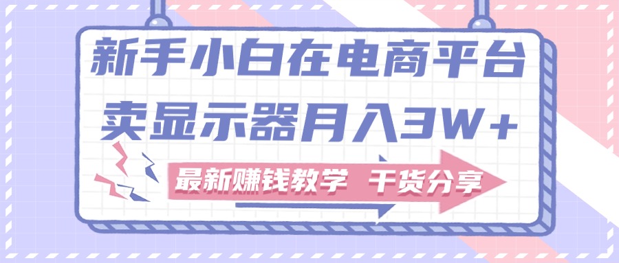 （11053期）新手小白如何做到在电商平台卖显示器月入3W+，最新赚钱教学干货分享-校睿铺