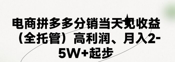（11091期）最新拼多多模式日入4K+两天销量过百单，无学费、 老运营代操作、小白福…-校睿铺