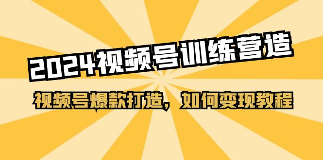 （11135期）2024视频号训练营，视频号爆款打造，如何变现教程（20节课）-校睿铺