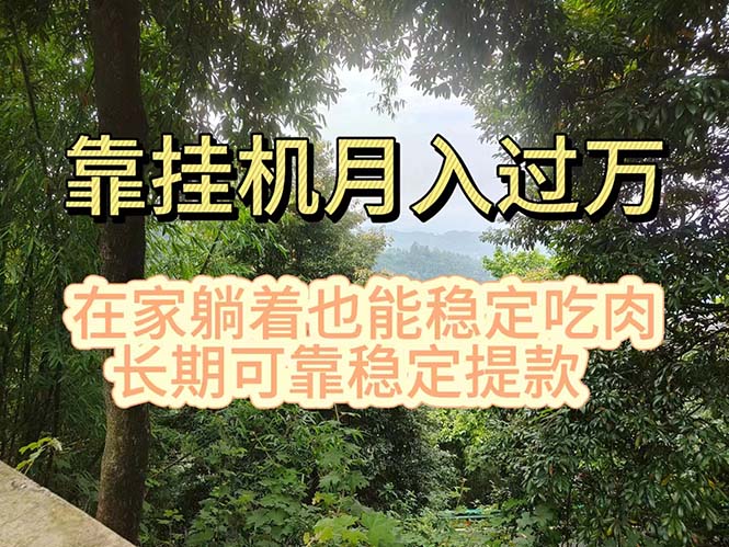 （11144期）挂机掘金，日入1000+，躺着也能吃肉，适合宝爸宝妈学生党工作室，电脑…-校睿铺