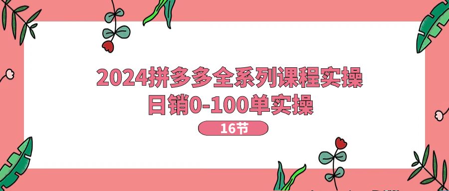 （11222期）2024拼多多全系列课程实操，日销0-100单实操【16节课】-校睿铺