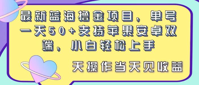 （11287期）最新蓝海撸金项目，单号一天50+， 支持苹果安卓双端，小白轻松上手 当…-校睿铺