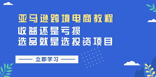 （11432期）亚马逊跨境电商教程：收益还是亏损！选品就是选投资项目-校睿铺