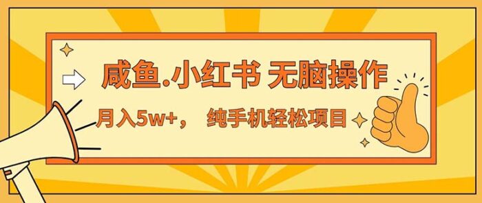 (11524期)2024最赚钱的项目,咸鱼,小红书无脑操作,每单利润500+,轻松月入5万+…-校睿铺