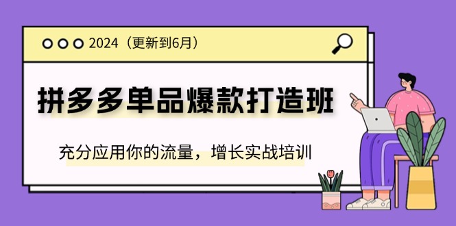 （11556期）2024拼多多-单品爆款打造班(更新6月)，充分应用你的流量，增长实战培训-校睿铺