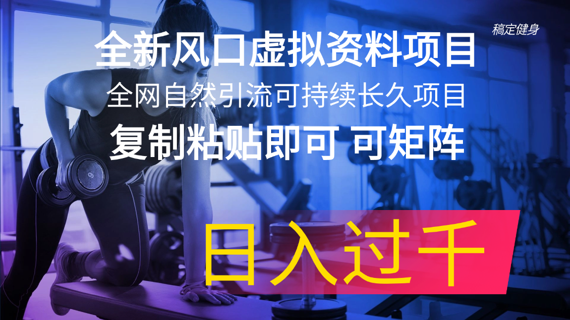 （11587期）全新风口虚拟资料项目 全网自然引流可持续长久项目 复制粘贴即可可矩阵…-校睿铺