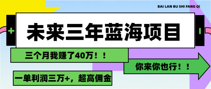 （11716期）未来三年，蓝海赛道，月入3万+-校睿铺