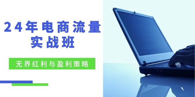 （12168期）24年电商流量实战班：无界 红利与盈利策略，终极提升/关键词优化/精准…-校睿铺