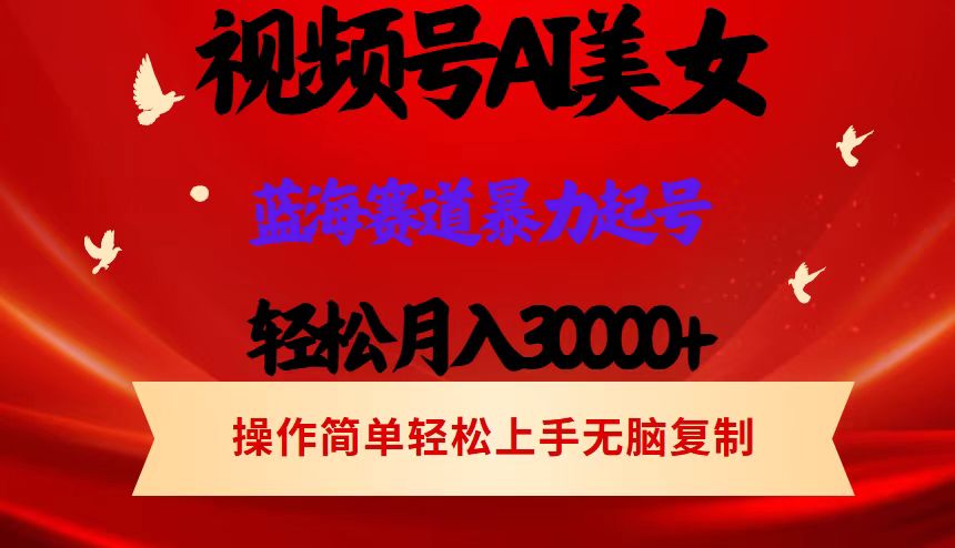 （12178期）视频号AI美女跳舞，轻松月入30000+，蓝海赛道，流量池巨大，起号猛，当…-校睿铺