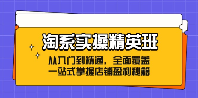 （12276期）淘系实操精英班：从入门到精通，全面覆盖，一站式掌握店铺盈利秘籍-校睿铺