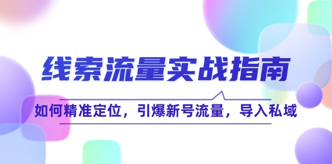 （12382期）线 索 流 量-实战指南：如何精准定位，引爆新号流量，导入私域-校睿铺