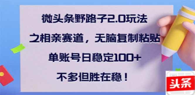 （14334期）微头条野路子2.0玩法之相亲赛道，无脑搬砖复制粘贴，单账号日稳定300+…-校睿铺