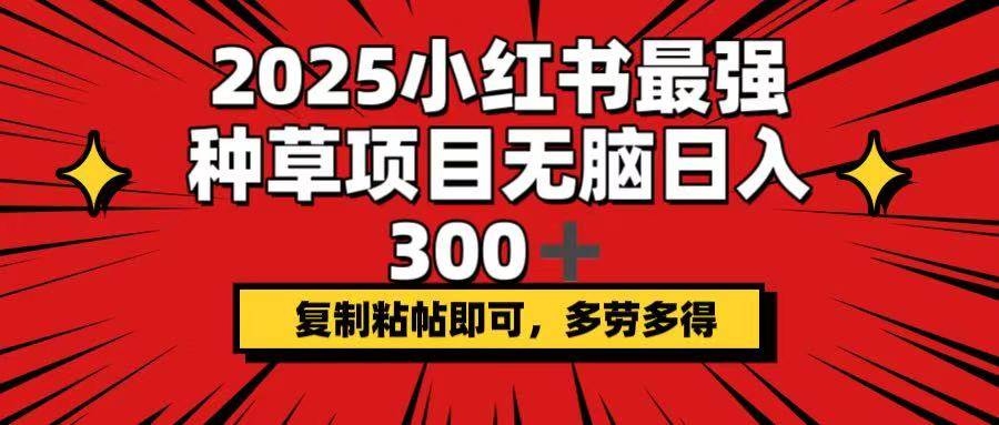 （14375期）2025小红书最强种草项目，无脑日入300+，复制粘帖即可，多劳多得-校睿铺