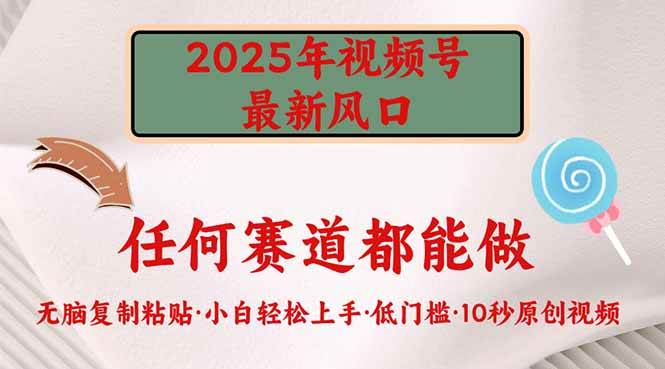 （14453期）2025年视频号新风口，低门槛只需要无脑执行-校睿铺