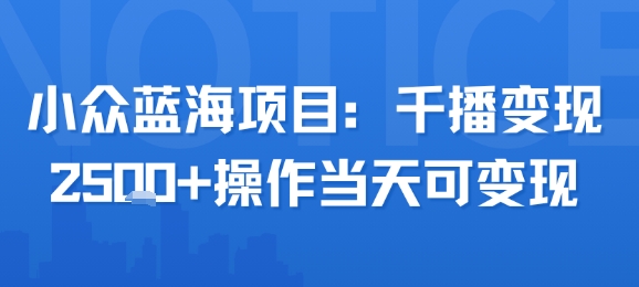 小众蓝海项目，千播变现2.5k+操作当天可变现-校睿铺
