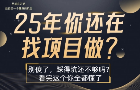 25年，你还在疯狂的找项目吗？别傻了，看完这个你都懂了【揭秘】-校睿铺