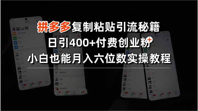 拼多多复制粘贴引流秘籍，日引400+付费创业粉，小白也能月入六位数实操…-校睿铺