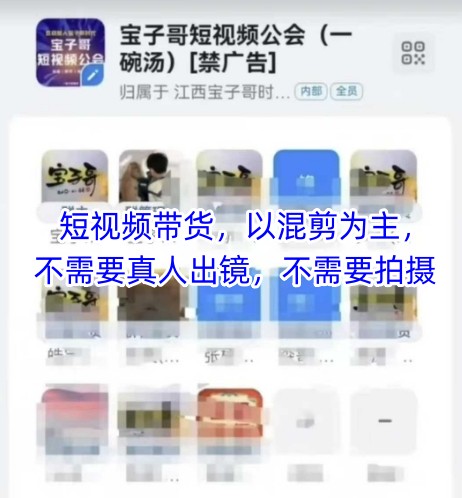 宝子哥头部团队短视频带货，以混剪为主，不需要真人出镜，不需要拍摄【更新8月】-校睿铺