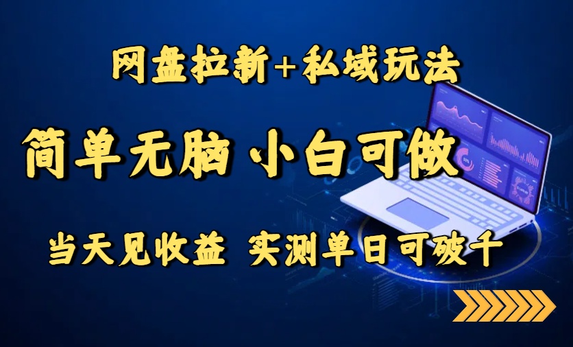 网盘拉新+私域玩法，简单无脑，小白可做，当天见收益，实测单日可破千-校睿铺
