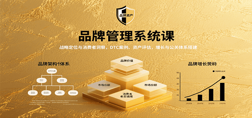 品牌管理系统课：战略定位与消费者洞察，DTC案例、资产评估，增长与公关体系搭建-校睿铺