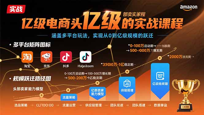 亿级电商头部卖家的实战课程：涵盖多平台玩法，实现从0到亿级规模的跃迁-校睿铺