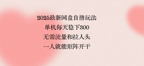 2025最新网盘自撸玩法，单机每天稳下3张，无需流量和拉人头，一个人就可轻松矩阵，全网独一份【揭秘】-校睿铺