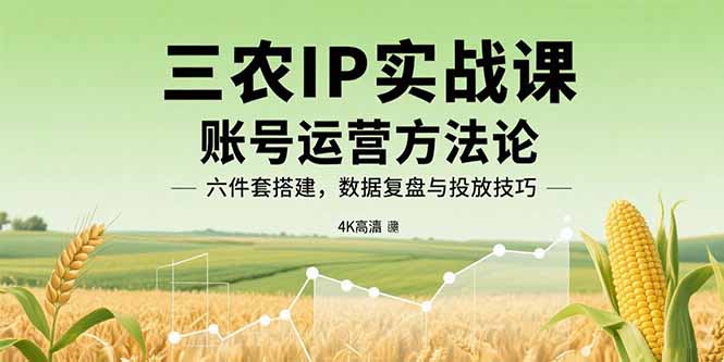 三农IP实战课：账号运营方法论，六件套搭建，数据复盘与投放技巧-校睿铺