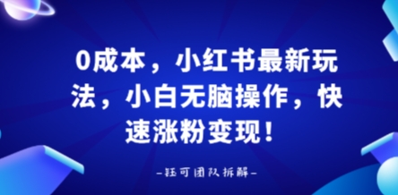 0成本，小红书最新玩法，小白无脑操作，快速涨粉变现-校睿铺