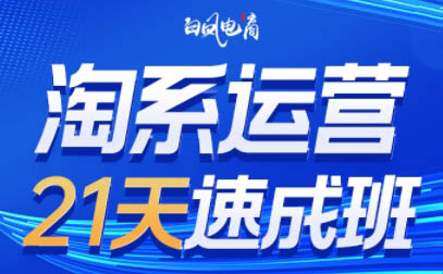 白凤电商·淘系运营21天速成班(更新9月)-校睿铺