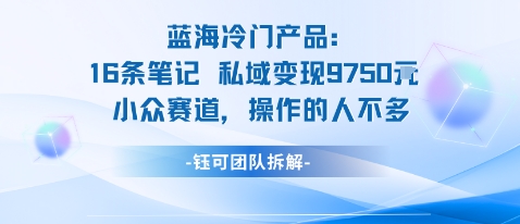 蓝海项目：16条笔记私域变现9750米小众赛道操作的人不多-校睿铺