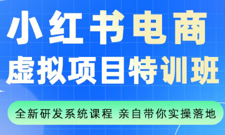 陆明明·小红书虚拟项目特训班(更新9月)-校睿铺