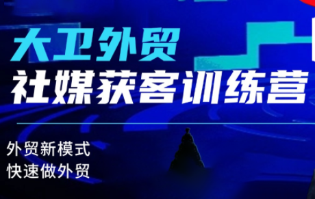 大卫老师·外贸社媒获客独家训练营(更新10月)-校睿铺