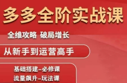 大炮·拼多多全阶实战课程(更新10月)-校睿铺